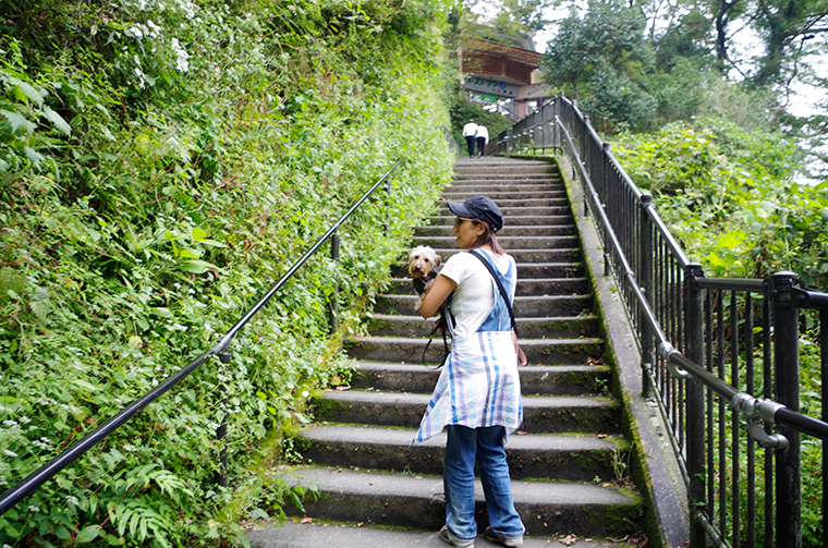 白糸の滝の階段。段差が苦手なワンコは抱っこして階段を上がるのがベスト。
