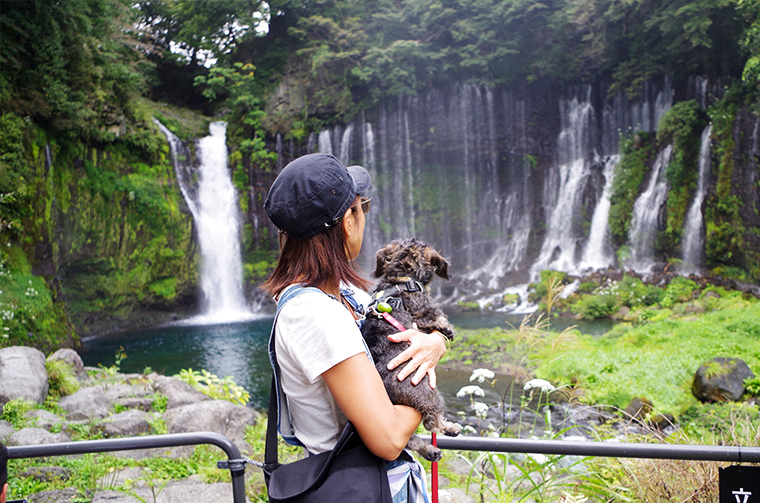 白糸の滝をバックに愛犬と記念撮影