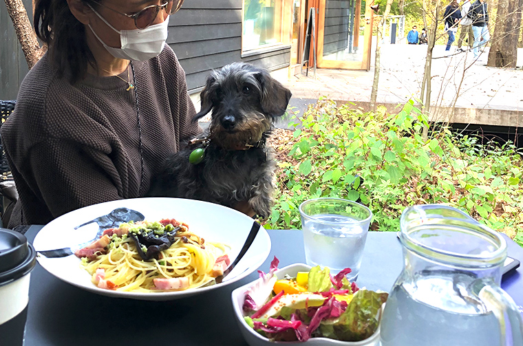 野沢菜とベーコンのアーリオオーリオ信州生わさび風味。愛犬と楽しむランチタイム。