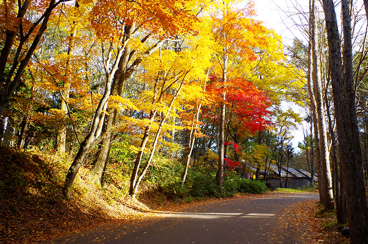 紅葉に彩られた軽井沢高原教会までの美しい道。