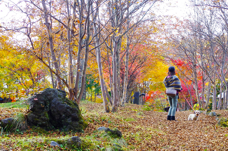 紅葉に彩られた小道。どこを歩いても美しい。