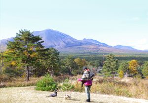 犬連れ軽井沢。浅間山の大自然を感じるスイートグラスキャンプと紅葉を巡る旅。