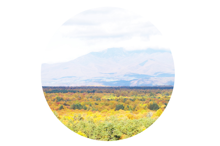 浅間牧場の丘の上から見た浅間山麓の紅葉。スイートグラスもこの一画にあります。