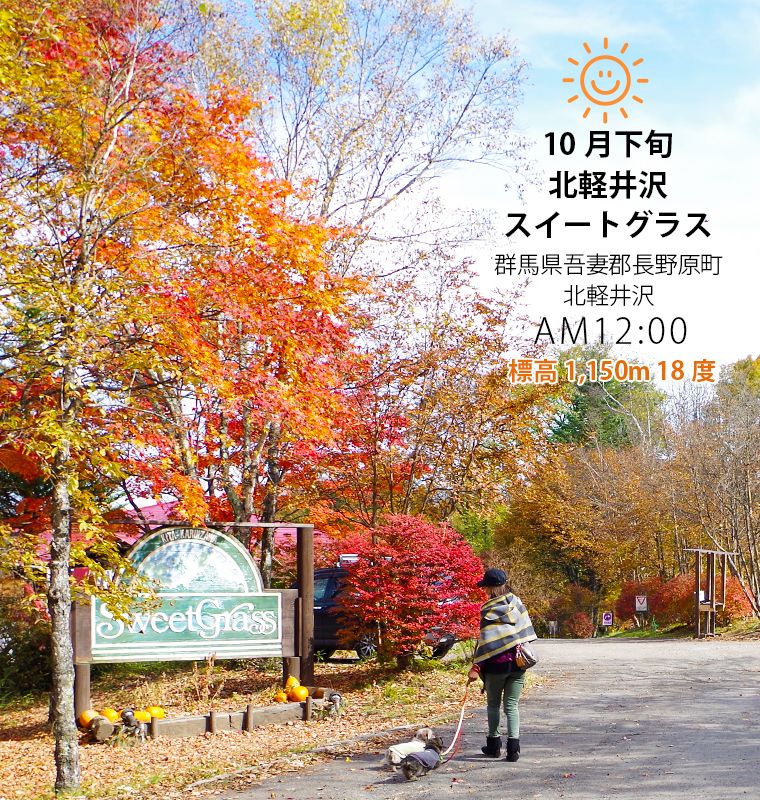 紅葉が美しい北軽井沢スイートグラスに到着。10月下旬。お昼12時。標高1150m気温18度。