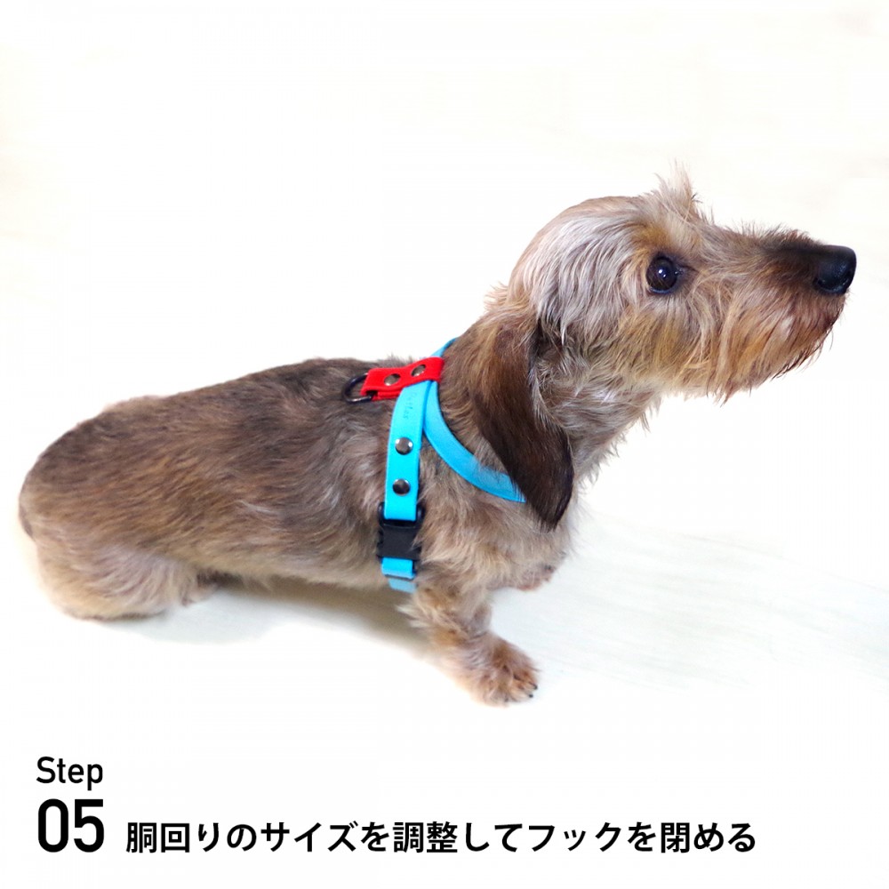 衛生的なスーパーソフト防水8の字ハーネス Figure8 レギュラー 小型犬〜中型犬 