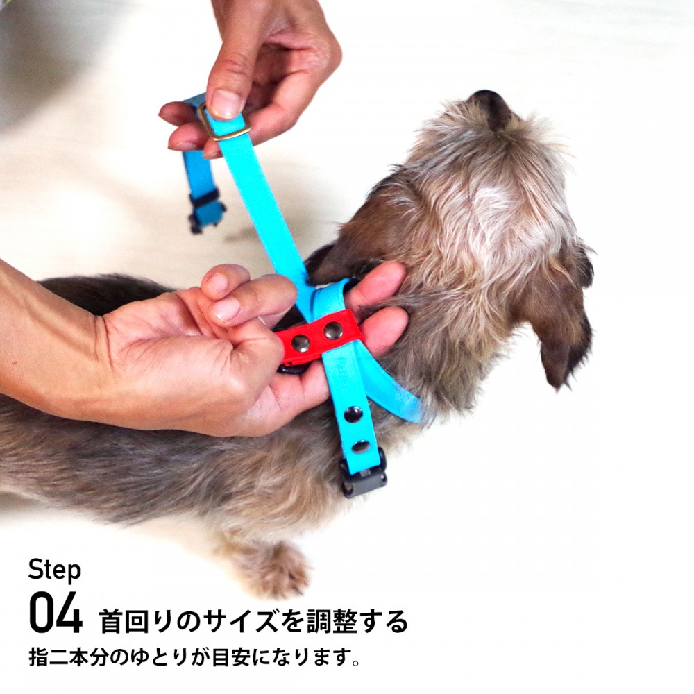 衛生的なスーパーソフト防水8の字ハーネス Figure8 レギュラー 小型犬〜中型犬 