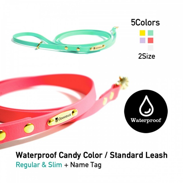 衛生的な防水リード Candy Color ネームプレート付き
