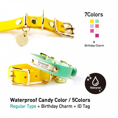衛生的な防水首輪 Candy Color 15mm バースデーチャーム付き 新色追加
