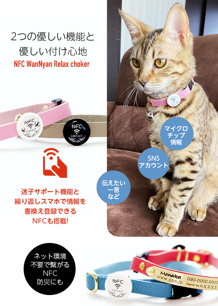 迷子のお守りshop 猫向け迷子札 | 迷子のお守りshop